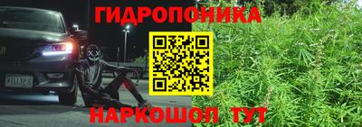 хмурый Можга
