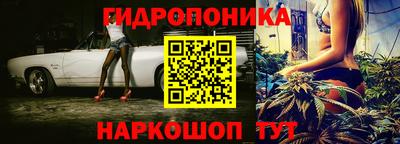 хмурый Можга