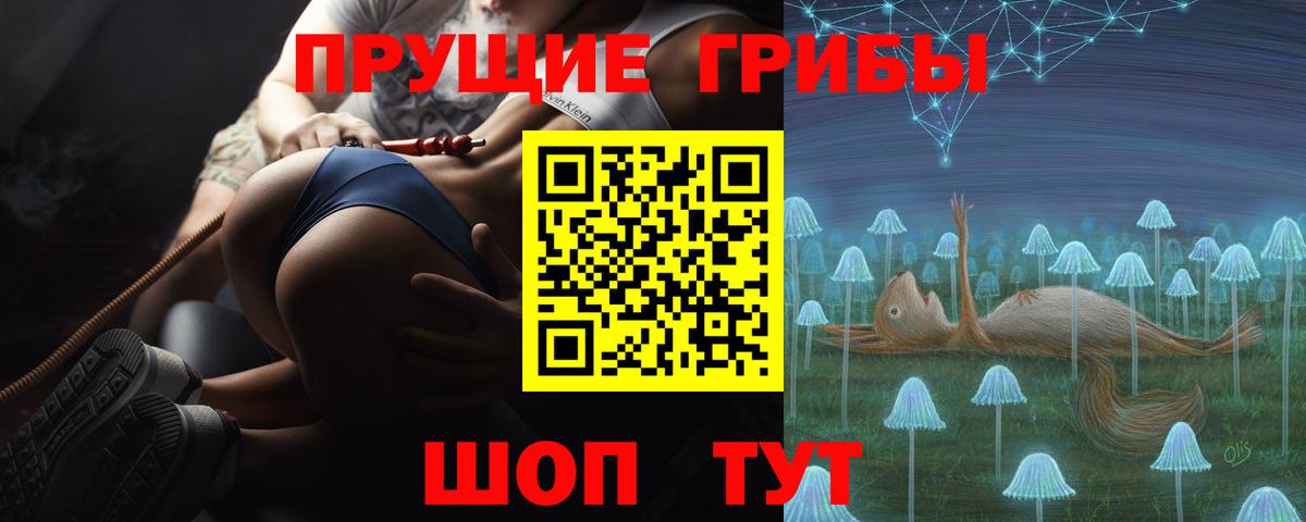 что такое   Вход с VPN  Великий Новгород  Галлюциногенные грибы ЛСД  Галлюциногенные грибы мицелий 